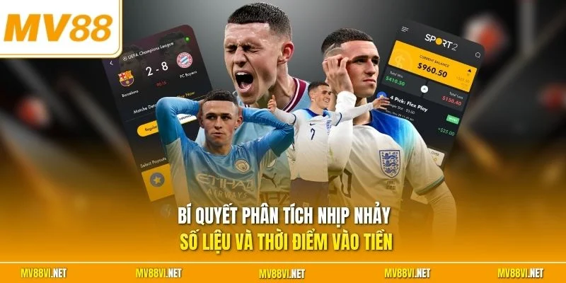 Bí quyết phân tích nhịp nhảy số liệu và thời điểm vào tiền