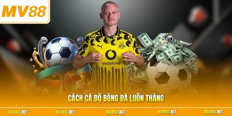 Cách cá độ bóng đá luôn thắng