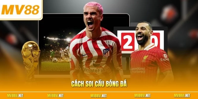 Cách soi cầu bóng đá