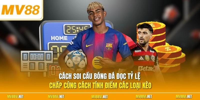 Cách soi cầu bóng đá đọc tỷ lệ chấp cùng cách tính điểm các loại kèo