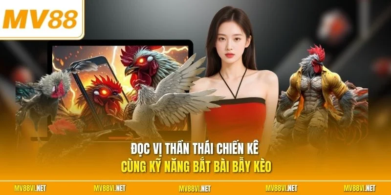 Đọc vị thần thái chiến kê cùng kỹ năng bắt bài bẫy kèo