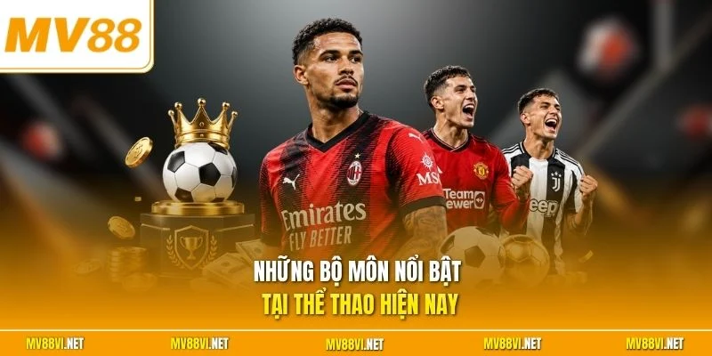 Những bộ môn nổi bật tại thể thao hiện nay
