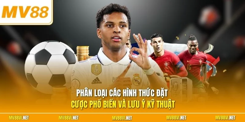Phân loại các hình thức đặt cược phổ biến và lưu ý kỹ thuật