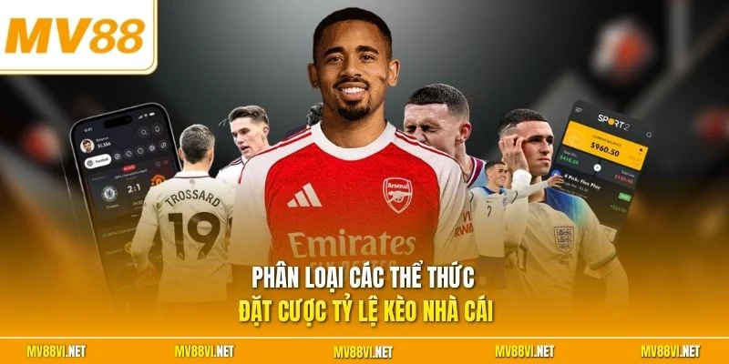 Phân loại các thể thức đặt cược tỷ lệ kèo nhà cái
